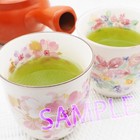 Japanese Tea Pot Mino Ware Kyusu Blue Sakura Cherry    flower Bouquet    Porcelain