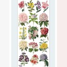 Violette Stickers - Flowers - 1 Vintage Floral Sticker Sheet - Scrapbooks Crafts