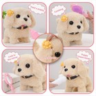 Robot Dog Toys 16 Pcs Realistic Puppy Gifts Kids Girls Boys Vanvimen 5-7 6-8