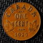 1929 Canadian Circulated George V One  Small Cent Coin 