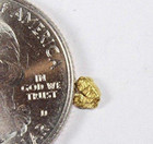 Pure Gold Nugget Alaskan Yukon Bc Natural Small Rock Authentic Raw Fine 22k  05g