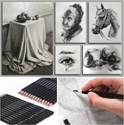 29pcs Professional Drawing Artist Kit Set Pencils And Sketch Charcoal Art Tools