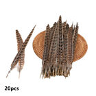 20 Pack Natural Pheasant Tail Feathers 10-12 Inch Long Diy Craft Party 25-30cm