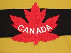 Team Canada Hockey Jersey Size Xl Nike Winnipeg Falcons 1920 Olympics Replica