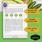 Cucumber Seeds Burpless Smooth Skin Muncher Variety 1 Pack Planting Snacking