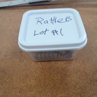 Lot Of 12 Rattlesnake Rattles Taxidermy taxidermist Lot 1