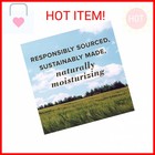 Burt s Bees All Weather Spf 15 Lip Balm  Water-resistant Lip Moisturizer  Tint-f