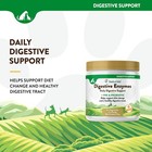 Naturvet Digestive Enzymes Probiotics Healthy Digestion For Dogs And Cats 4 Oz