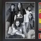 Pearl Jam Legends Of Music Gold Record Display W reproduction Signatures