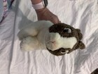 Webkinz Signature Dutch Bunny Plush White Brown Rabbit Ganz Wks1011 No Code