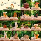 Fairy Garden Kit     16-piece Miniature Woodland Decor With Pinecone House    G   