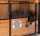 Arkansas Equine Sign Activity Liability Warning Statute Horse Farm Barn Stable
