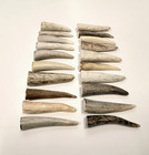 Deer Antler Tips  2    Rustic Ornaments  Natural Jewelry Supplies  10 Pc 