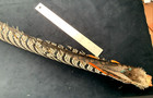 Lady Amherst s  Pheasant Feathers