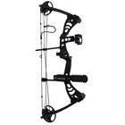 Sas Scorpii 30-55 Lb 19-29  Compound Bow Package With Bow Stabilizer  Bow Sight