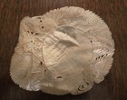 Vintage And Unique Dragon Plate Made Of Oyster Shell From Japan  Late 1950s