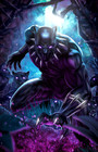  signed  Black Panther  prowl  Art Print 11x17  Ariel Diaz