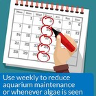 Api Algaefix For Aquariums 16 Ounces