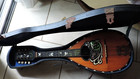 1904 Antique Italian Made Bowl Back Mandolin Estudiantina With Original Case
