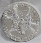  7  2014 Silver Eagle Dollar Coin Lot   25c Combined Shipping