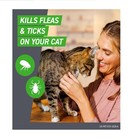 Frontline Plus For Cats And Kittens Flea And Tick Treatment  6 Count