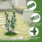 Garden Trellises