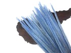 10 Feathers 18-22  Light Blue Bleached Dyed Long Ringneck Pheasant Tail Wedding