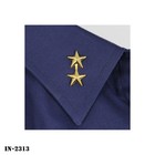 Collar Device Rank Pins   Major General   2 Gold Stars On A Bar   Small   New