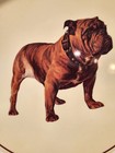 Vintage Mack Trucks Bulldog Logo Hard Plastic Beverage 13  Serving Tray