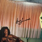 Signed Cover Ari Lennox - Vacancy - Marshmallow White Vinyl Record Autographed