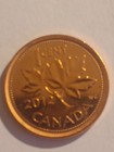 Last Year Of The Canada Cents  1 Steel  1 Non Matelic 2012 Cents Free Shipping 