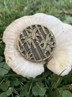 Antique German Eingetragen Picture Button Large 31mm Brass Bamboo Aesthetic