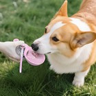 2-in-1 Portable Dog Water Bottle For Small Dogs Leak-proof Travel Water Dispense