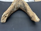 Interesting Natural Specimen     Estate Find-7    X 7   