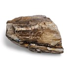 Petrified Wood Rough 394 4 Grams 