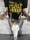 Wild 12 Point Whitetail Deer Antler Rack Horn Skull European Mount Man Cave 147 