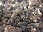Bumper Crop Sale  One Full Pound Wild Morel Mushrooms  Whole  dried    2025 Crop