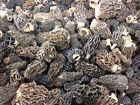 Wild Morel Mushrooms  Whole  dried  - 2oz
