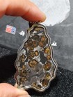 Kenya Sericho Pallasite Iron Meteorite Pendant Necklace