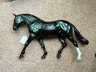 Peter Stone Le-5 Glossy Holographic Ceilidh Id - Last Call  