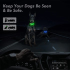Led Adjustable Dog Collar Blinking Flashing Light Up Glow Pets Safety Waterproof