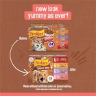 Purina Friskies Gravy Wet Cat Food Variety Pack Extra Gravy Chunky 5 5 Oz-48 Can