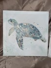 Sea Turtle    Seahorse Pictures Framed Beach Decor 12  X 12  Canvas Wall Art Set