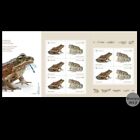 2024 -canada -endangered Frogs    Permanent Domestic Rate Booklet 10 Stamps -mnh