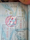 Lot Of 3 Israeli Travel Documents     Expired     For Props   Theatre Use Free Ship