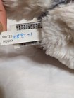 Webkinz Husky Puppy Dog 8  Ganz Plush Stuffed Animal Toy Hm120 No Code