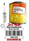 Honda Trx 250 X Recon Trx250ex Sportrax Oil Change Kit Air Filter Ngk Spark Plug