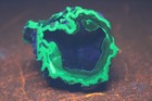 Crater Agate Collector Specimen  fluorescent 