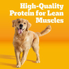 Adult Dry Dog Food  Complete Nutrition  Grilled Steak   Vegetable Flavor  18 Lb 