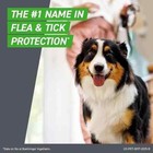 Front Plus For Dogs 45 To 88 Lbs 6 Doses 6 Month Supply Brand New Free Shipping